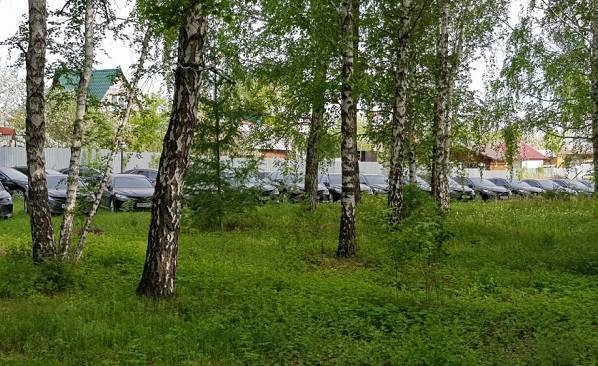 Власти Челябинской области объяснили стоянку своих машин «в лесу»
