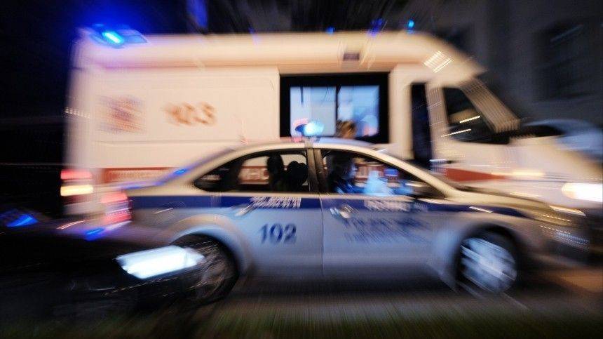 Момент смертельного наезда грузовика на пенсионерку на КАД в Петербурге попал на видео (18+)