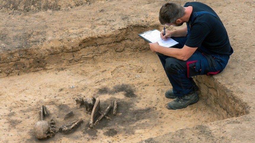 В Петербург вернулись археологи, занимавшиеся раскопками рядом с древним городом Ур