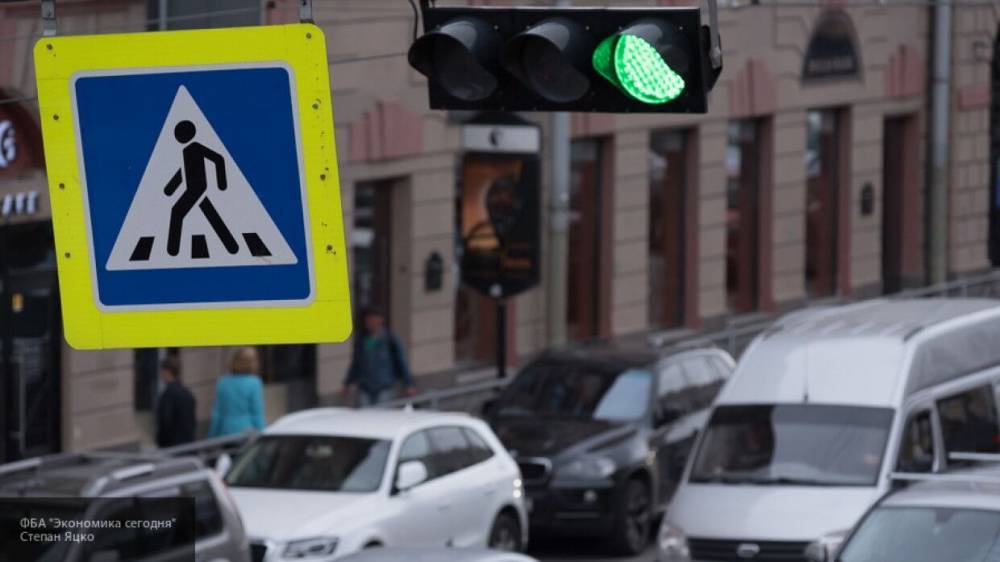 Водитель Toyota раздавил переходивших дорогу утят в Новгороде