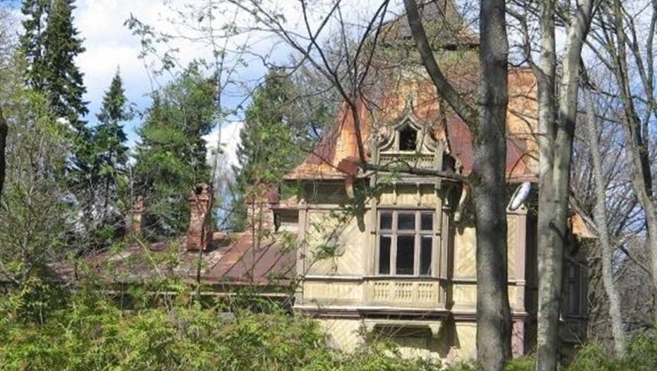 "Ростех" нашел покупателей на Желтую и Зеленую дачи в Шуваловском парке