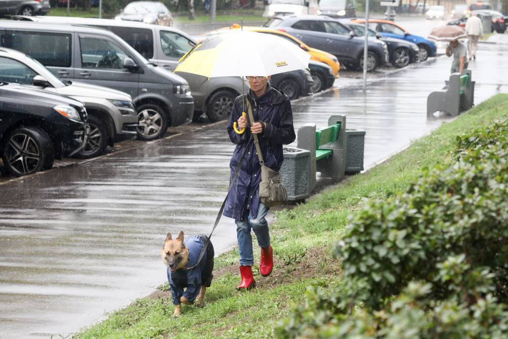 «Желтый» уровень опасности объявили в Москве из-за сильного дождя