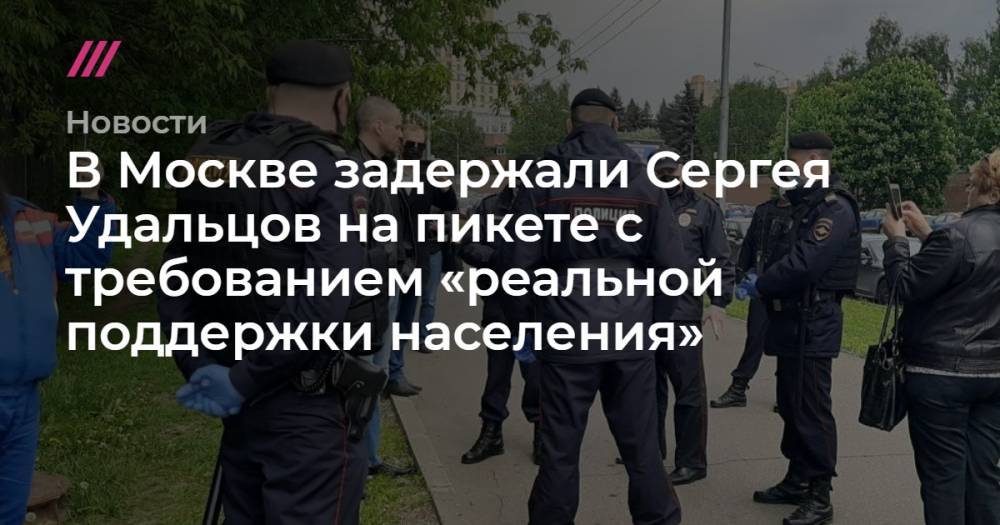 В Москве задержали Сергея Удальцов на пикете с требованием «реальной поддержки населения»