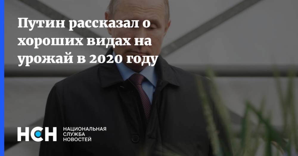 Путин рассказал о хороших видах на урожай в 2020 году