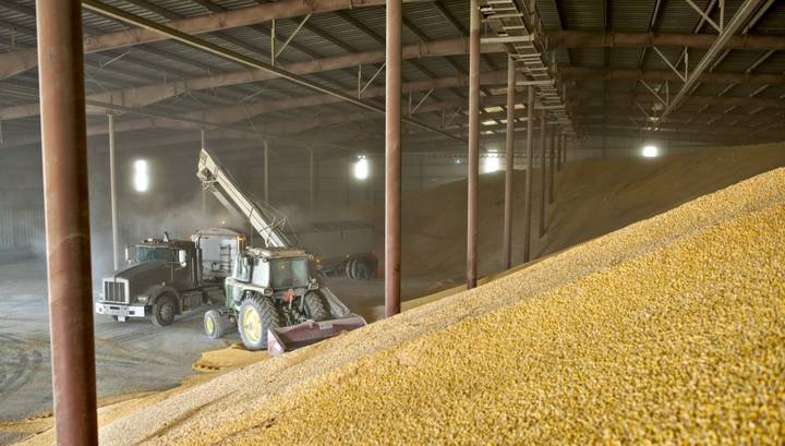 Патрушев: в 2020 году в России могут собрать 120 млн тонн зерна