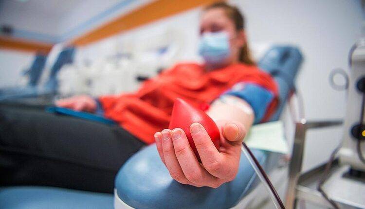 В Подмосковье начали исследовать кровь доноров на антитела к COVID-19
