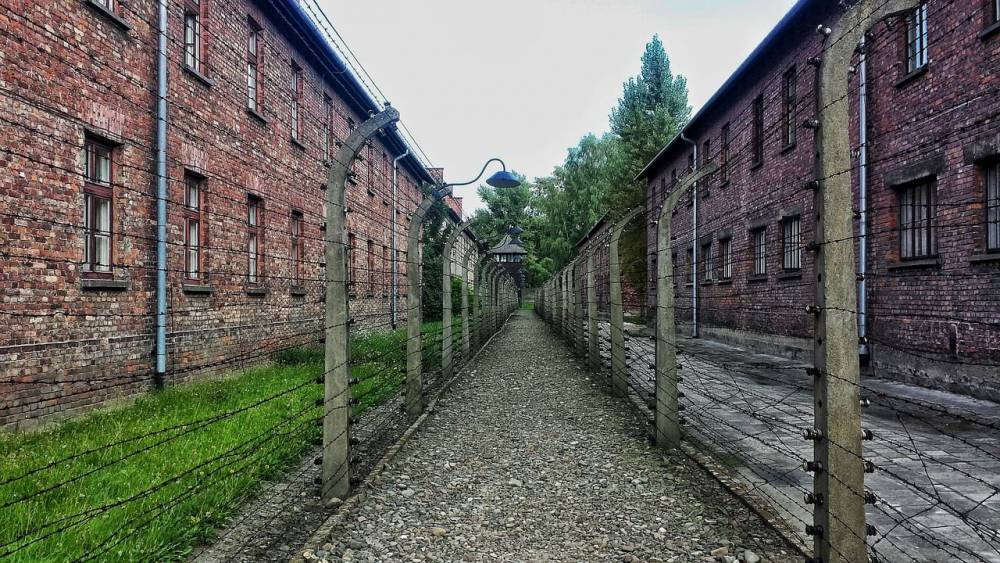 В Освенциме обнаружили вещи, спрятанные заключенными - Cursorinfo: главные новости Израиля