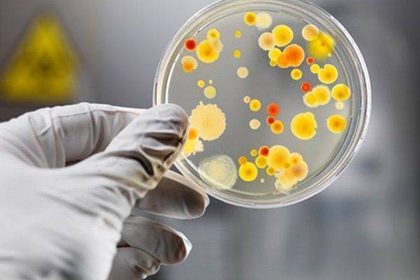 Россию окружили биолабораториями с патогенными вирусами
