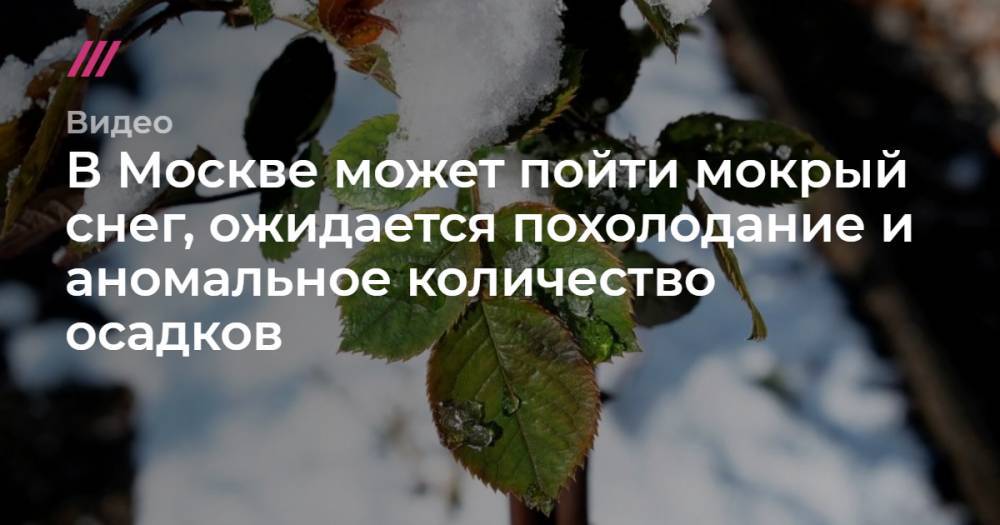 В Москве может пойти мокрый снег, ожидается похолодание и аномальное количество осадков