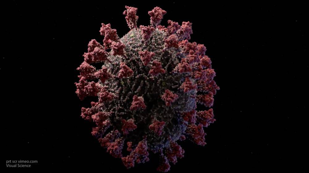 Вуйнович спрогнозировала вторую волну пандемии коронавируса в мире