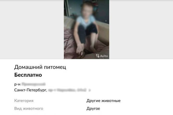 Следователи начали проверку объявления о передаче ребёнка в Петербурге