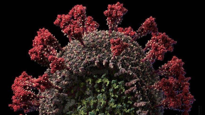 Число заболевших коронавирусом в мире превысило пять миллионов человек