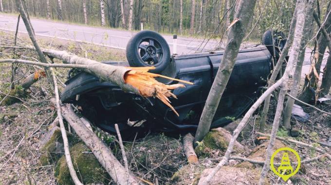 После тарана дерева "Renault" в Выборгском районе госпитализировано двое подростков