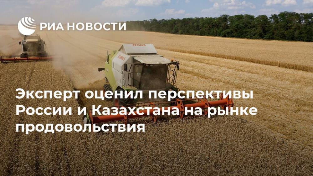 Эксперт оценил перспективы России и Казахстана на рынке продовольствия