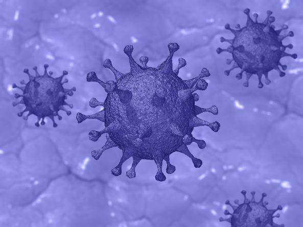 Обнаружены антитела, которые на 100% блокируют коронавирус и выводят его из организма за 4 дня
