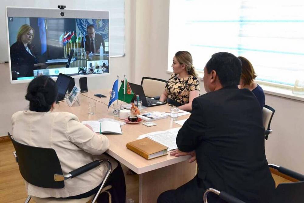 Туркменистан обсудил с ВОЗ доступ к медицинским данным