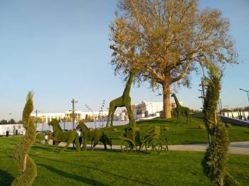 В Узбекистане с 22 мая в "желтых" и "зеленых" зонах разрешили открыть парки, музеи и художественные галереи