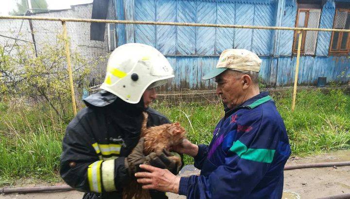 Три кота, собака и их хозяйка спасены из горящего дома