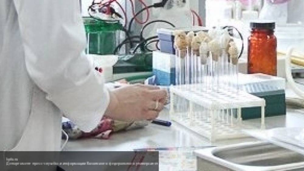 Сибирские ученые начали разработку вакцины от COVID-19