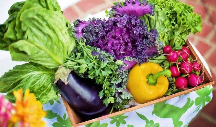 Елизавета Тихонова - Названы фрукты и овощи, которые без опаски можно есть в мае - mirnov.ru