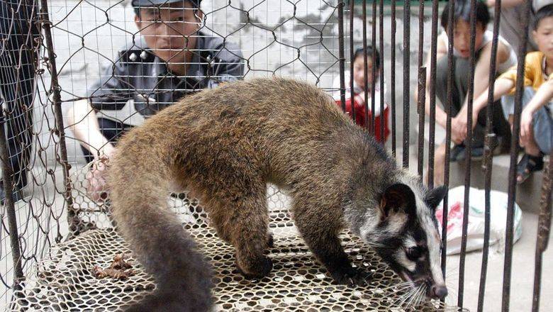 Жрущие братьев меньших: торговля животными в Китае сохранится, несмотря на запреты