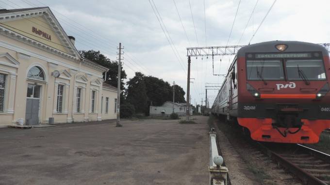 На станции Вырица в Ленобласти полицейские поймали зацепера из Петербурга