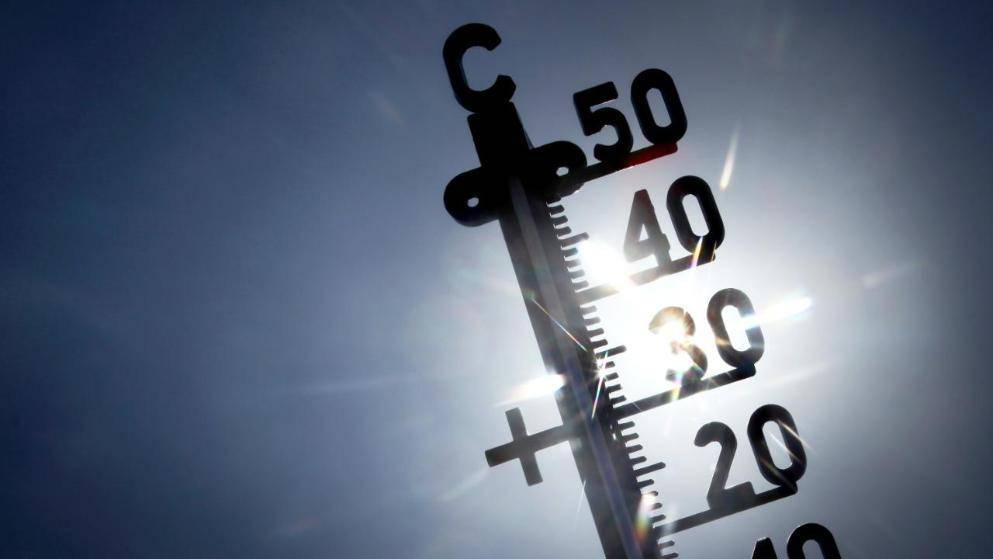 Столбики термометров в Германии поднимутся до +31°С