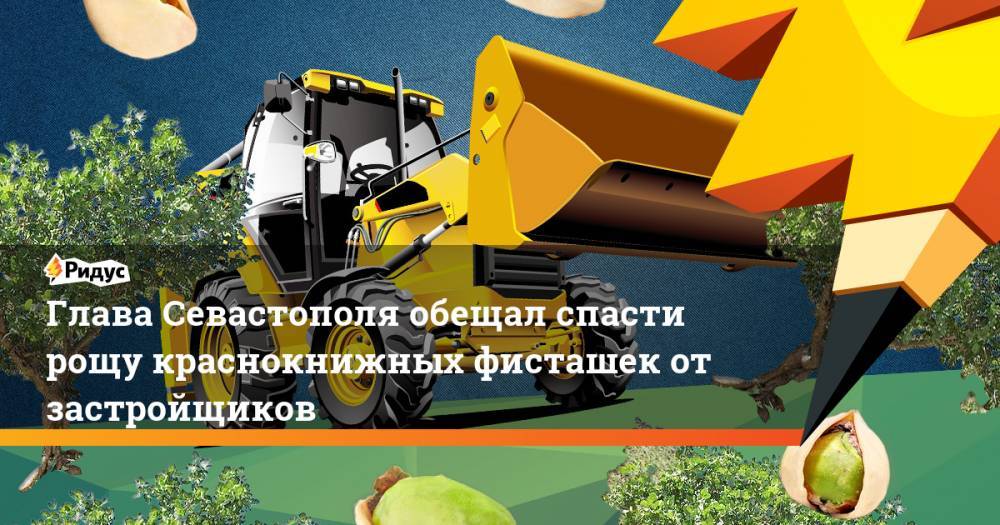 Глава Севастополя обещал спасти рощу краснокнижных фисташек от застройщиков