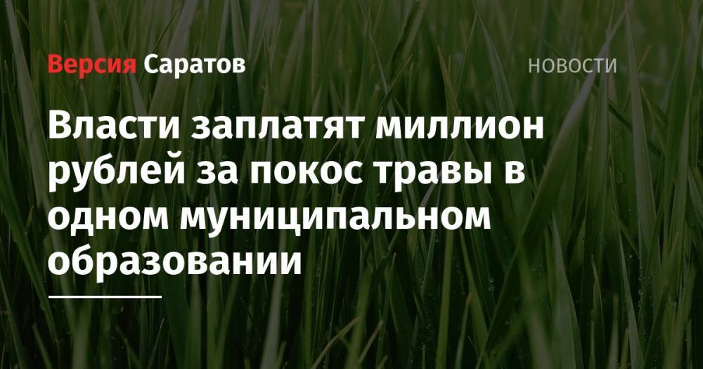 Власти заплатят миллион рублей за покос травы в одном муниципальном образовании