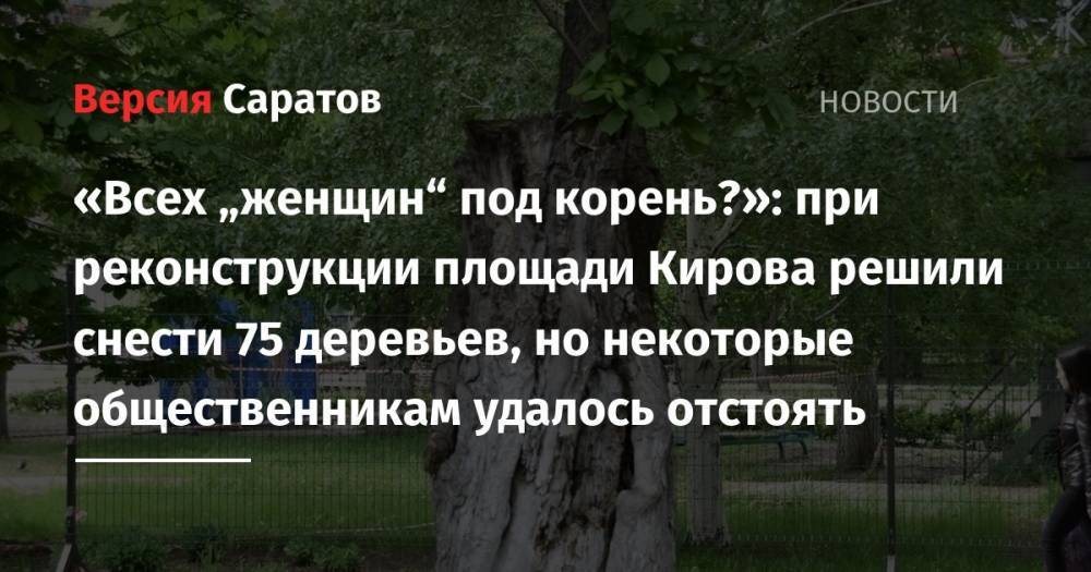 «Всех „женщин“ под корень?»: при реконструкции площади Кирова решили снести 75 деревьев, но некоторые общественникам удалось отстоять