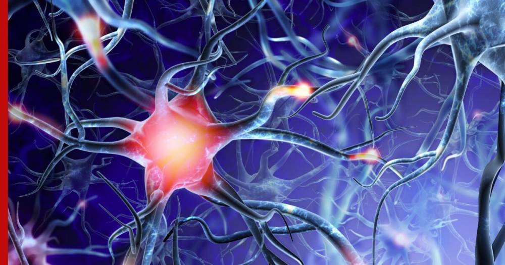 Ученые объяснили влияние COVID-19 на нейроны мозга