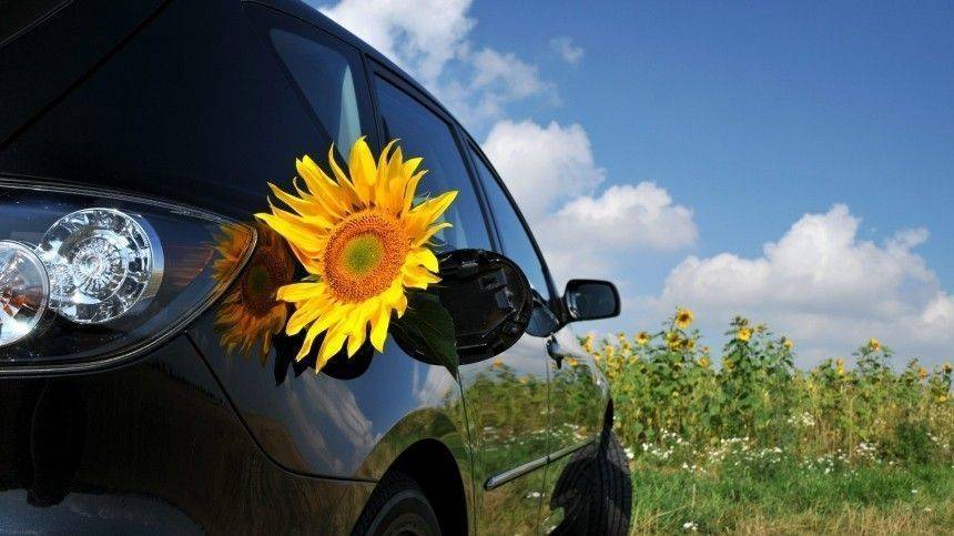 Нагретый на солнце автомобиль уничтожает коронавирус? — мнение вирусолога
