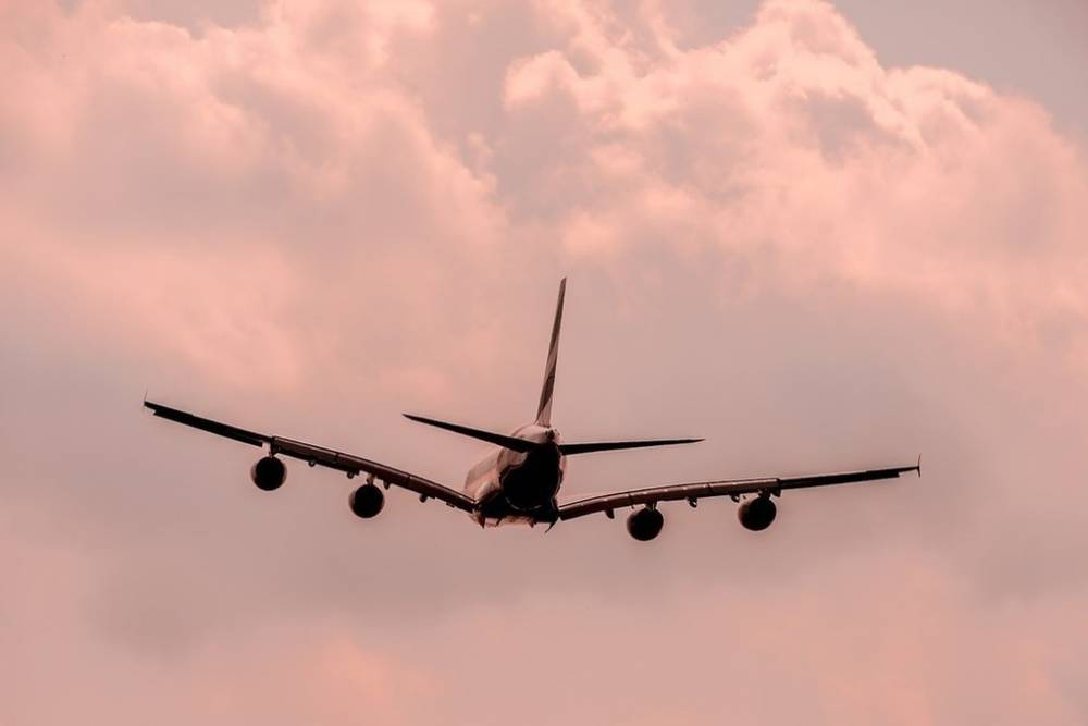 В РФ решили отказаться от антивирусной рассадки пассажиров в самолетах