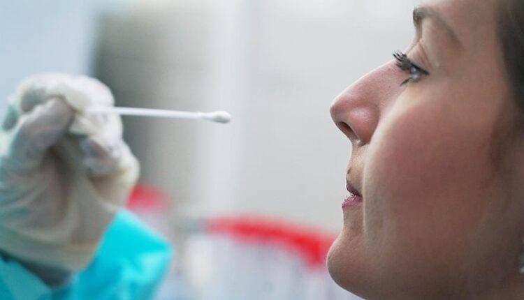 В России проведено более 8,1 млн тестов на коронавирус