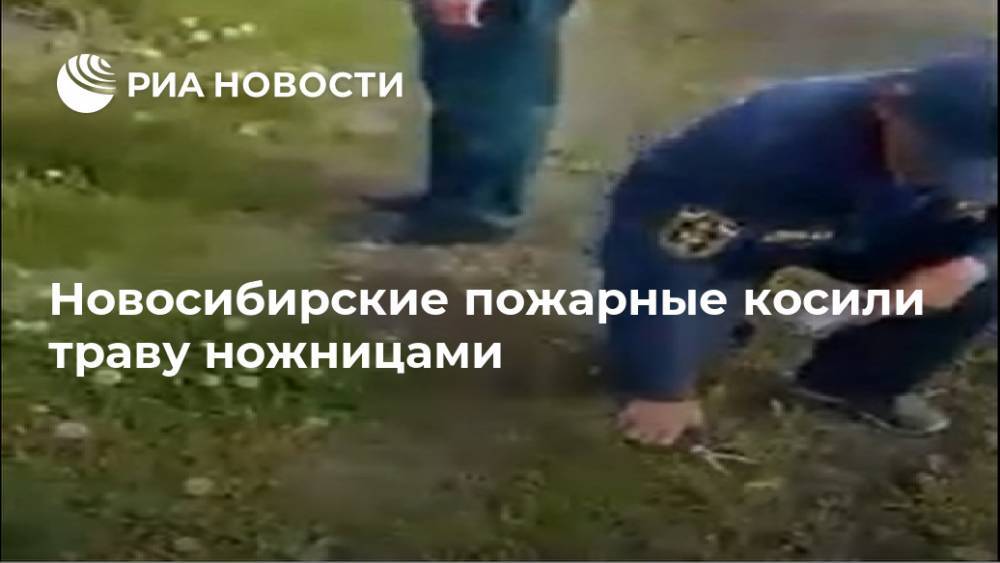 Новосибирские пожарные косили траву ножницами