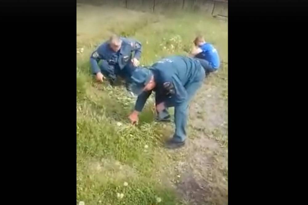 Пожарные в Новосибирске косили траву ножницами