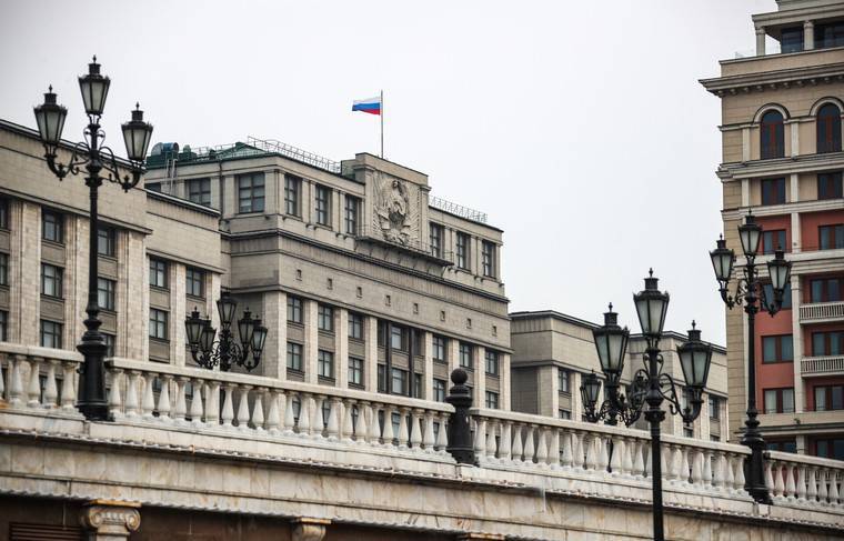 Госдума поддержала новый срок публикации сведений о доходах депутатов