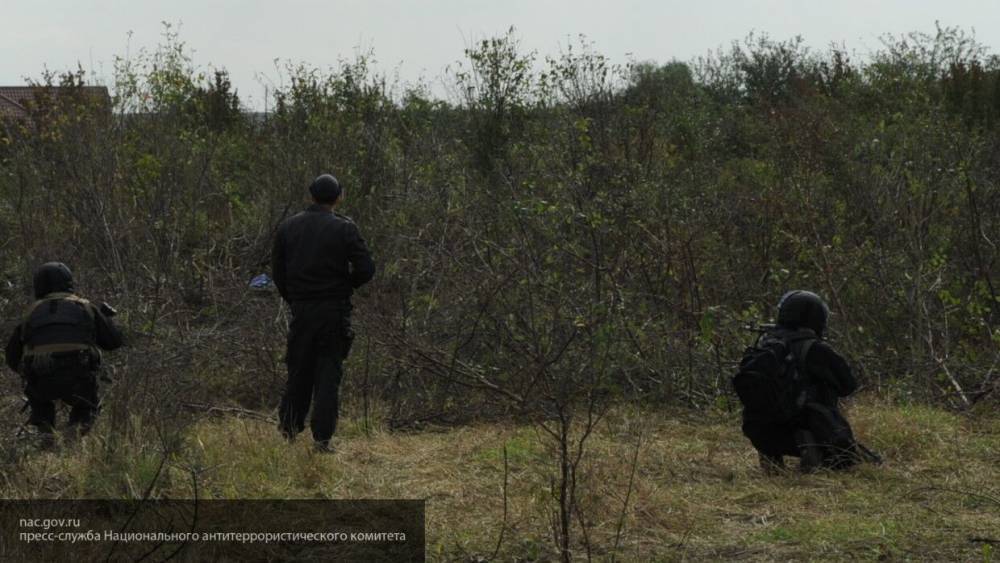 СМИ: силовики начали операцию против боевиков в лесу Дагестана