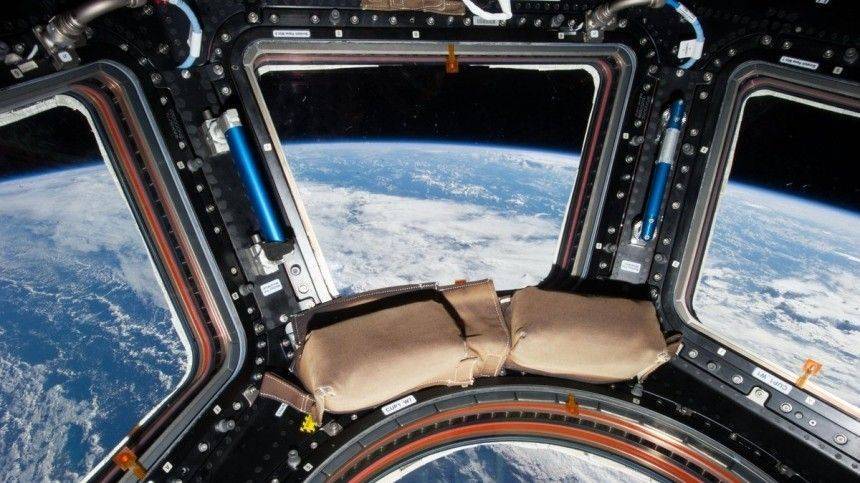 Илон Маск - Андрей Борисенко - Петербургский космонавт может стать участником программы Space X - 5-tv.ru - Россия