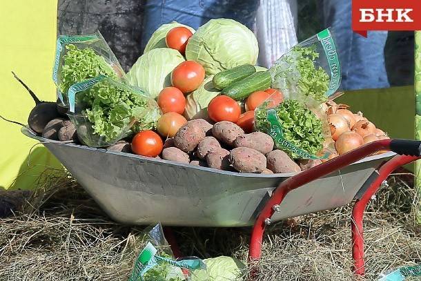 В Коми стали собирать меньше картофеля и овощей