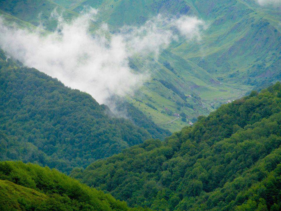 Парламент Грузии принял закон, позволяющий передавать леса в собственность ГПЦ