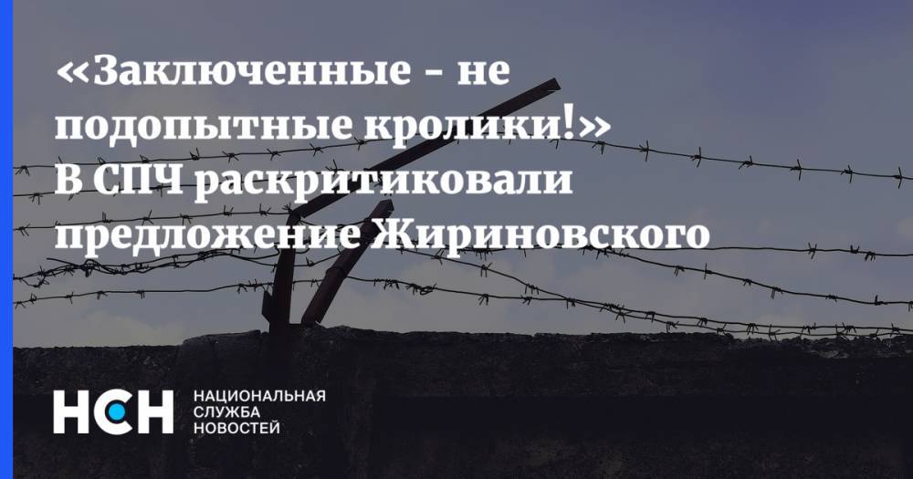 «Заключенные - не подопытные кролики!» В СПЧ раскритиковали предложение Жириновского