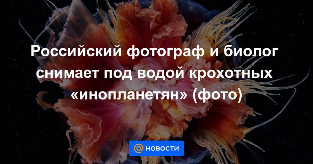 Российский фотограф и биолог снимает под водой крохотных «инопланетян» (фото)