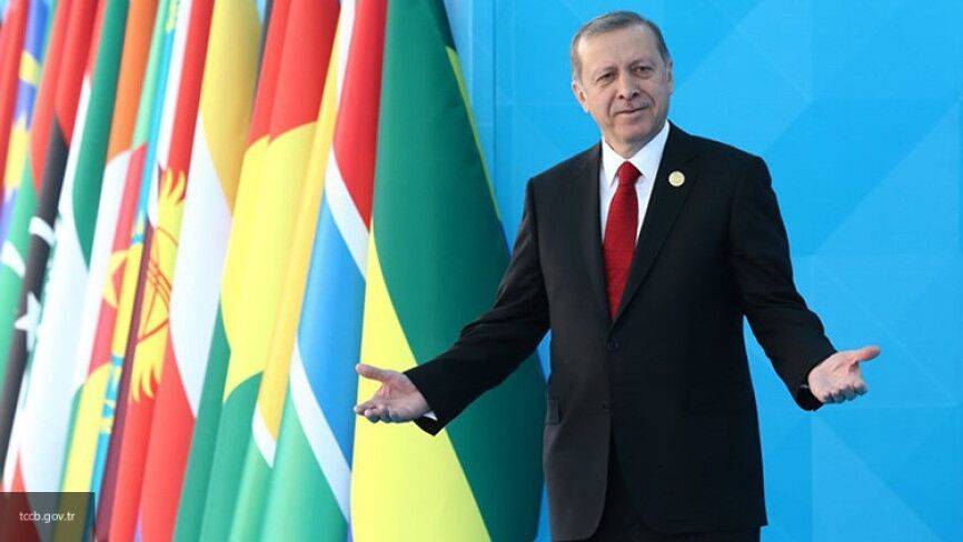 Турция отвлекает внимание общества от внутренних проблем вмешательством в дела Ливии