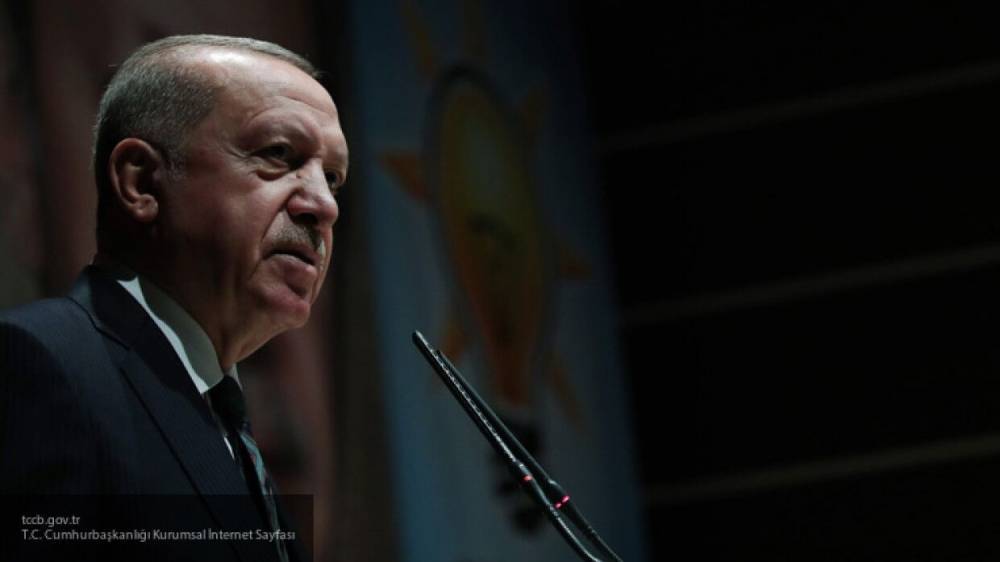 Кудряшов объяснил попытки Эрдогана присвоить Турции статус лидера арабского мира