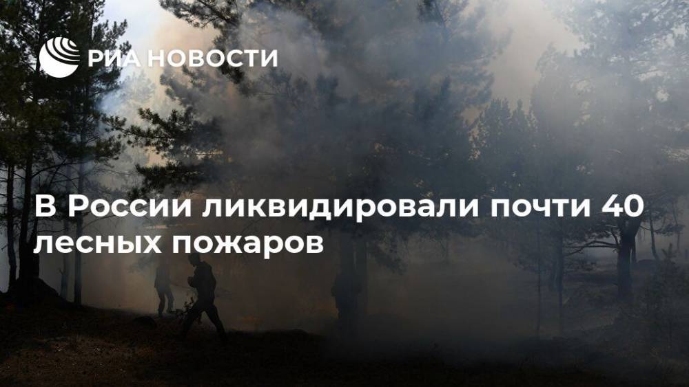 В России ликвидировали почти 40 лесных пожаров