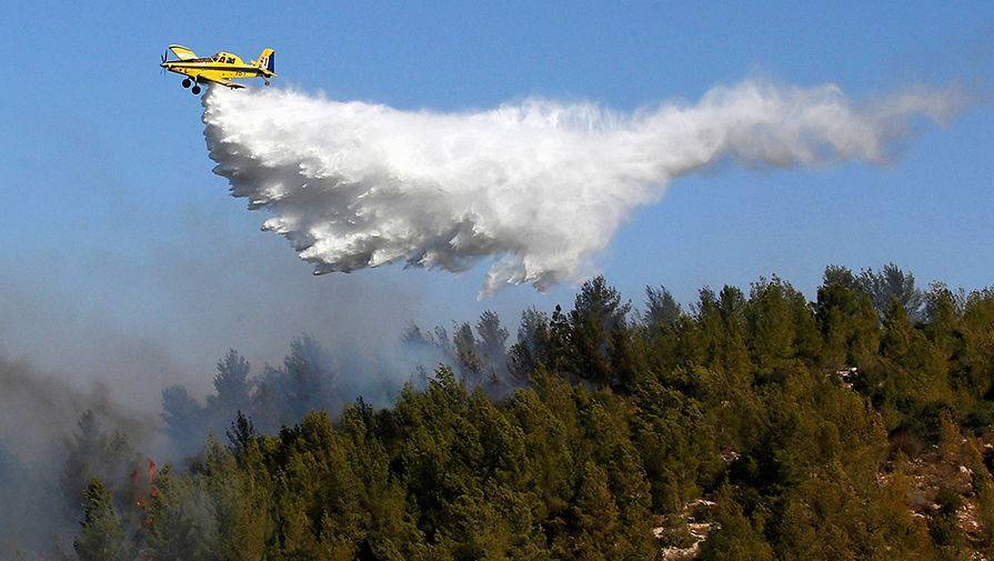 В России ликвидировали за сутки еще 40 лесных пожаров