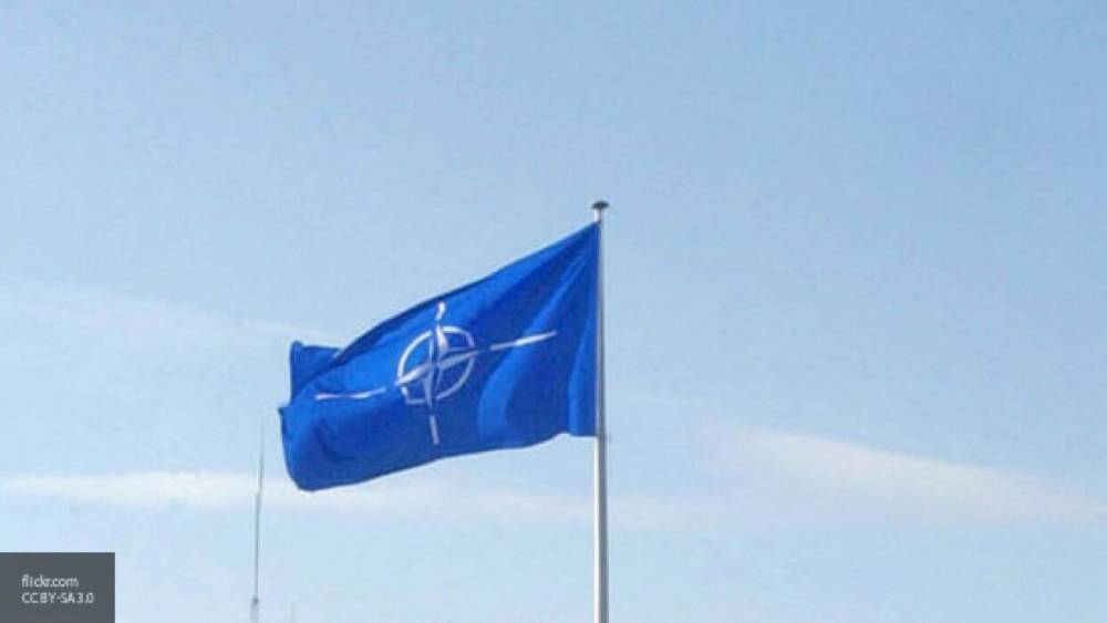 Союзники НАТО призвали США не покидать ДОН