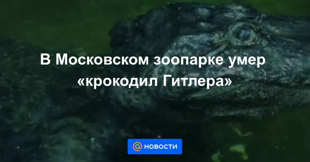 В Московском зоопарке умер «крокодил Гитлера»
