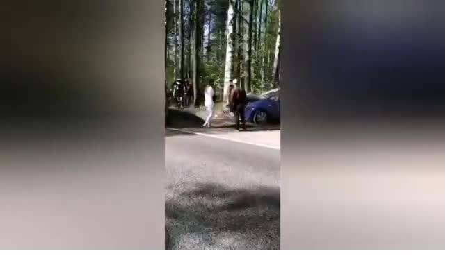 Машина влетела в дерево на дороге недалеко от Ольгино
